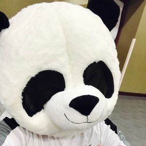 Meet your Posher, Henry